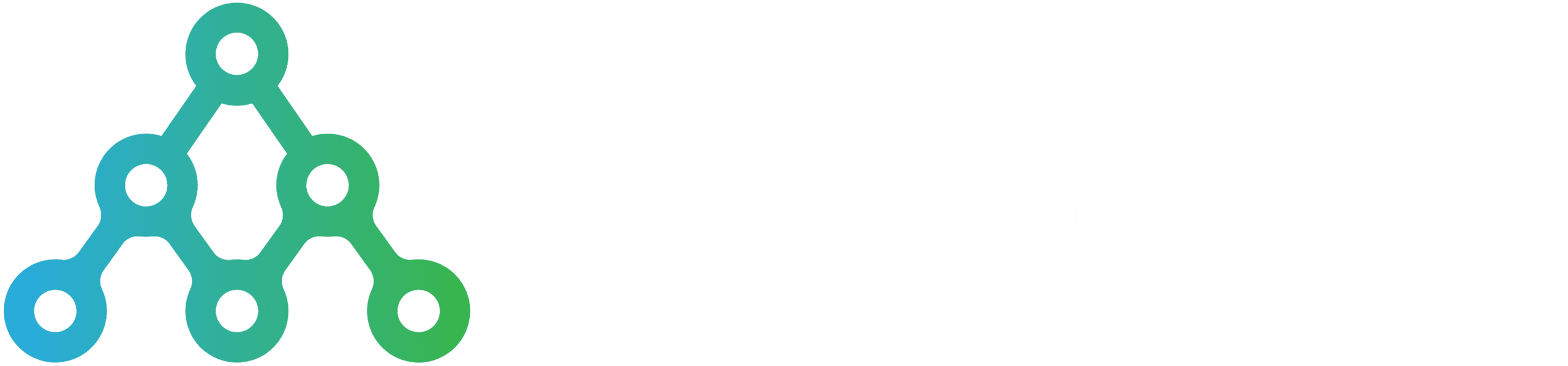 Armada Perkasa Nusantara